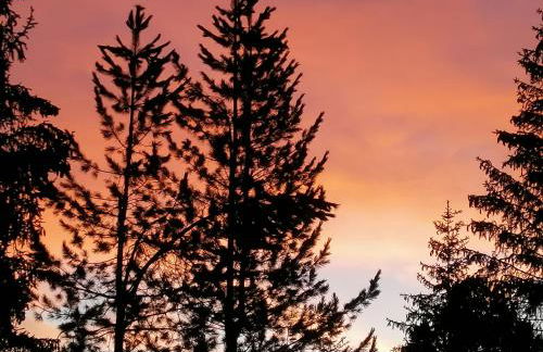 Casa Laura - Photo 30