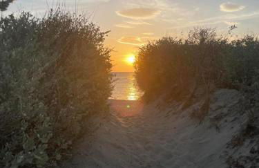 Superbe appartement T2 en résidence avec piscine - Photo 12
