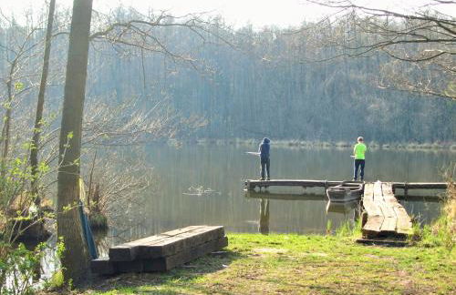 Altes Forsthaus Garzau - Foto 41