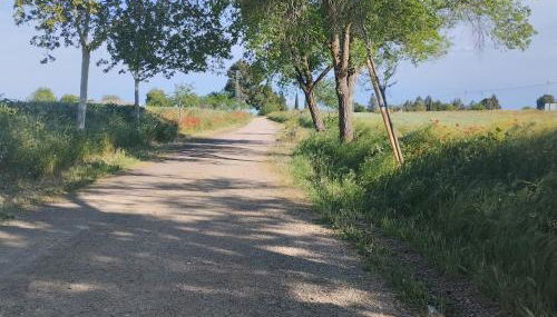 casa rural El Realengo - Foto 4