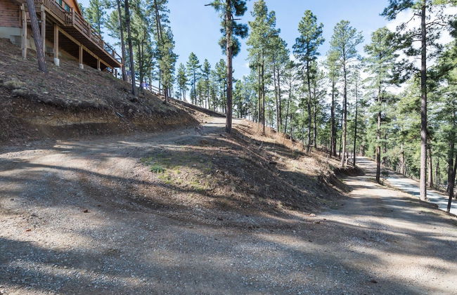 Aurora Montealis - Foto 22