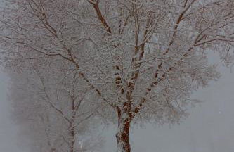 Refugio del Segura - Foto 59