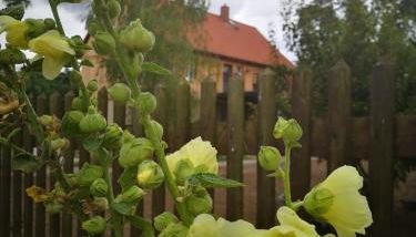 Hof Janne Stapelburg - Foto 4, Garden