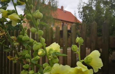 Hof Janne Stapelburg - Foto 4