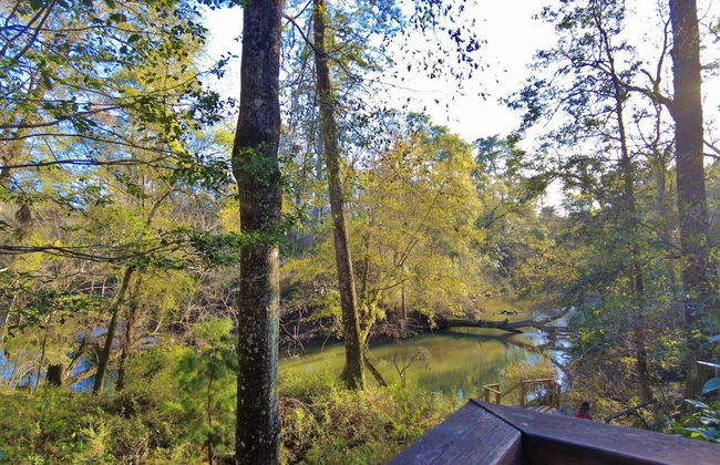 Little River Bluffs - Photo 61