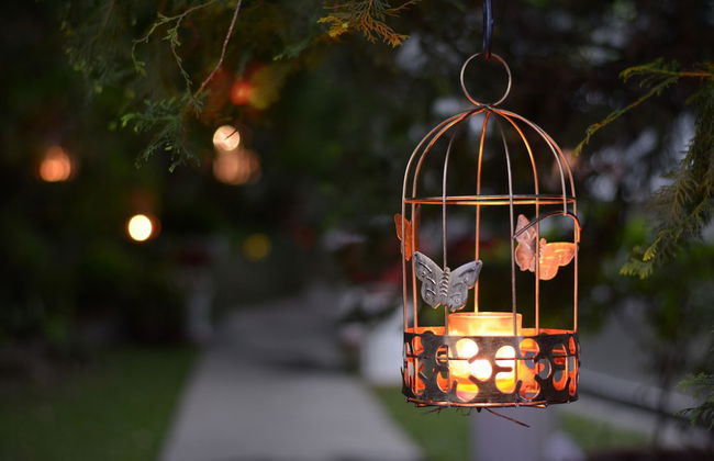 Biazi Paradise Hotel - Photo 47