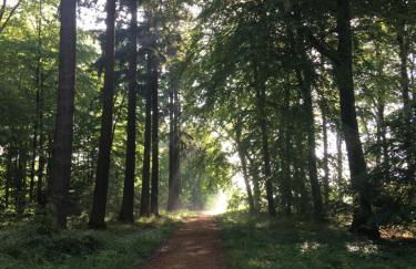 Ferienapartment Kastanje - Foto 23