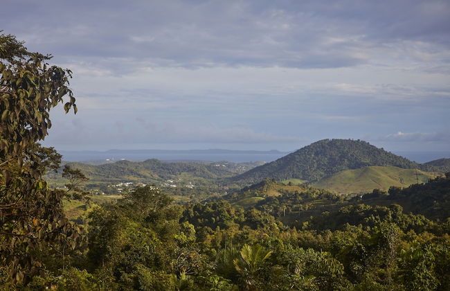 WALD HAUS by DW - Foto 35