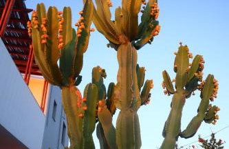 Villa Stefania Dream - Photo 20