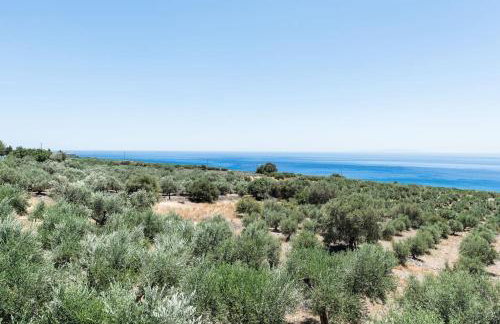 Villa Olvía - Photo 29