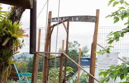 Cambuca Surf Skate - Foto 26