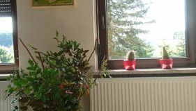 Hansis Lodge - Photo 5