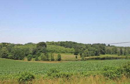 La feuillardiere - Foto 37