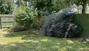 Private downtown cottage - Foto 3, Garden view