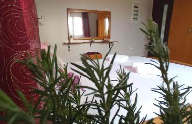 Villa Erasmia - Foto 28