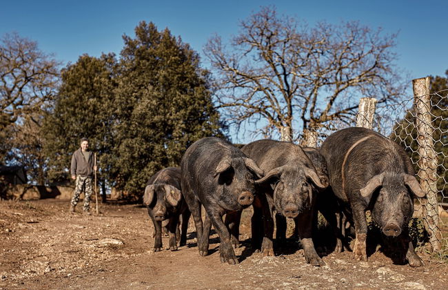 Agriturismo Casa Al Gianni - Foto 56