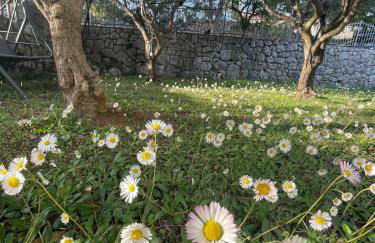 Island home Green Escape Cres - Foto 43