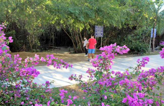 Huatulco National Park Hiking & Snorkelling - Photo 7