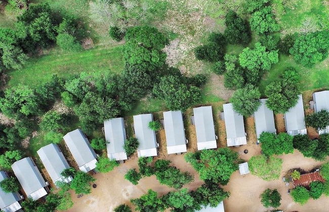 21 Son's Geronimo - Birdhouse Cabin - Foto 73