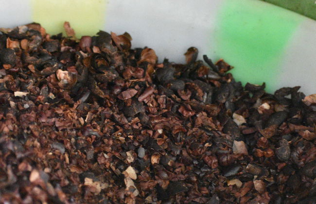 Excursión a Marsella - Foto 7