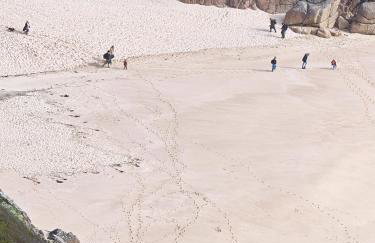 Tolroy manor holiday cottage - Foto 3