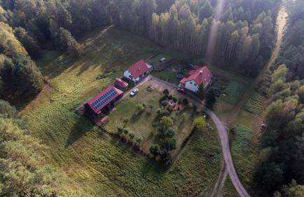 Pokoje w lesie - Foto 1