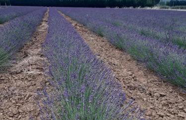 Apt en Luberon appartement 3 chambres et garage privée - Photo 16
