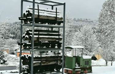 Ferienwohnung zur Steinklamm im bayrischen Wald - Foto 41