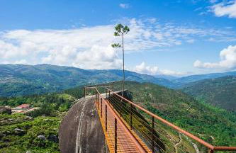 Pura Vida Matos House - Photo 17