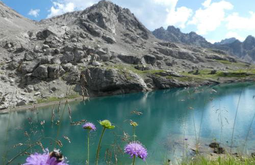 Panek, Haus - Foto 37