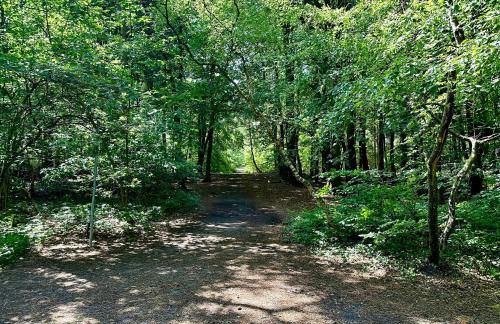 Residenz Grantz Sahlenburg Wohnung 2 - Foto 19