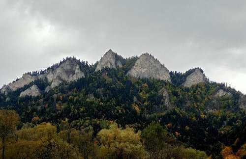 Hortensjowy Zakątek w Pieninach - Foto 31