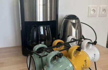 Maison des Larris - proche Aéroport - navette Gare - Foto 29