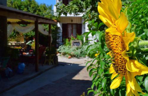 Zaira Studios - Foto 12