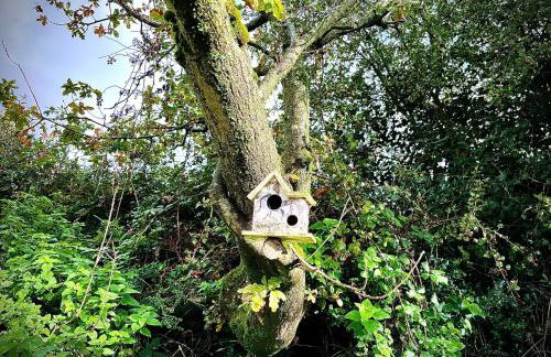 Primrose Cabin - Foto 26