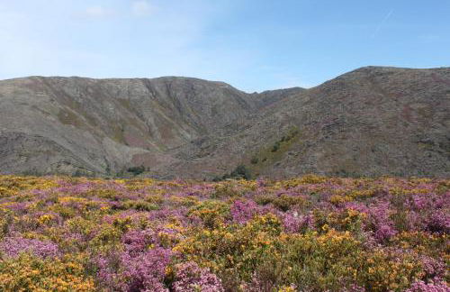 A Avozinha - Arouca - Foto 74