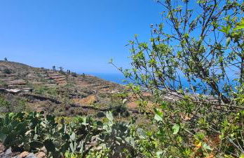 El Rinconcito - Foto 16