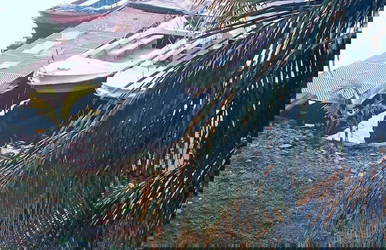 Metteyya Villa - Foto 19