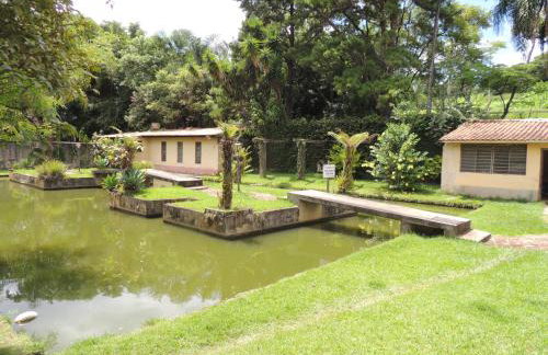 Florescer Campo - Foto 10