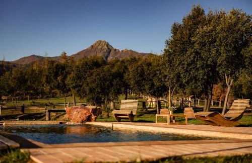 La Paradella - Apartamento de uso turístico - Foto 9