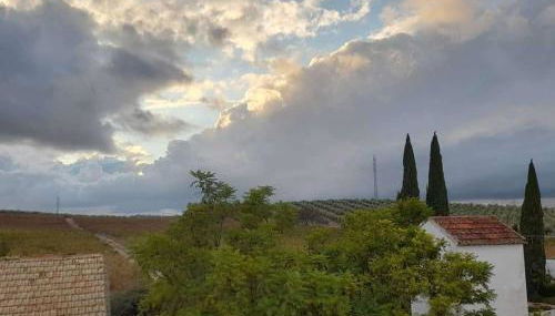 La Capellania de Alvear - Foto 4