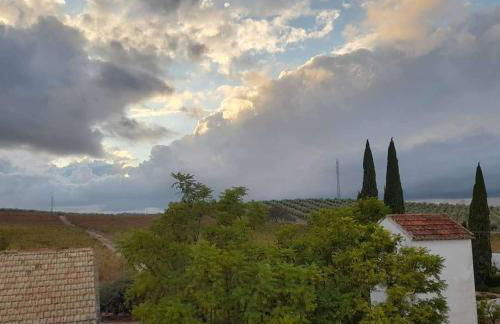 La Capellania de Alvear - Foto 4