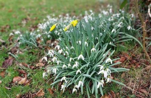 The Coach House- Canonbie - Foto 35