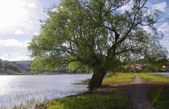 Ferienhaus in Obernburg am Edersee - Foto 28