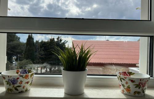 Apartmani Pernjak - Photo 71