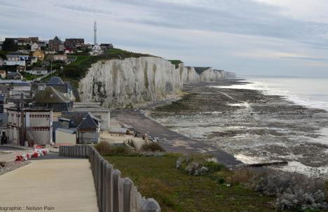 Gite La Lueur du Hable - Baie de Somme Hable d'Ault - Foto 20