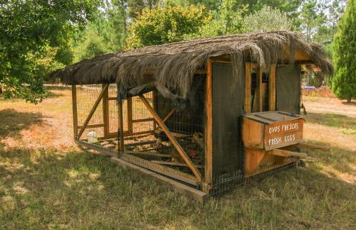 Chão do Rio - Turismo de Aldeia - Foto 48