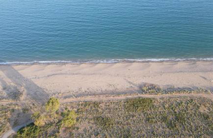 Peaceful Cottage House - Private Garden - Foto 33