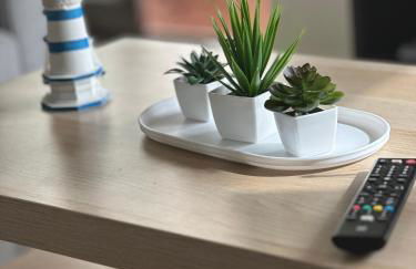 Face a l'océan - Praia da areia branca - Foto 17