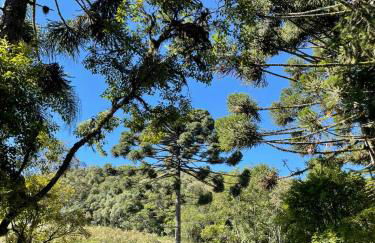 Memora Guesthouse Bateias - Casa Inteira e quartos em chácara - Photo 67